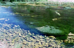 943khojir_3big.jpg